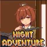 Night Adventure Game