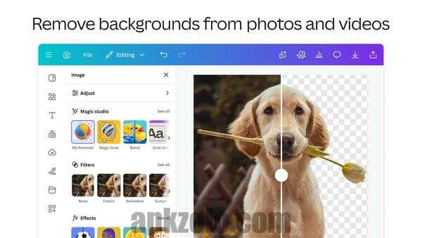 Canva Pro Mod APK