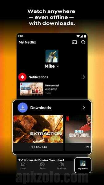 Netflix Mod APK 2025