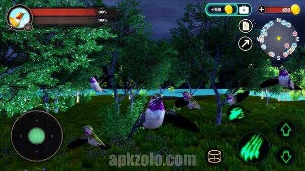 Hummingbird Game APK Full