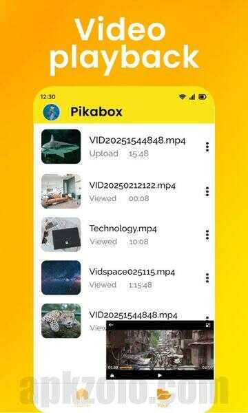 Pikabox Mod APK Unlocked All