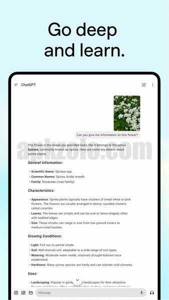 ChatGPT Premium Mod APK Latest Version