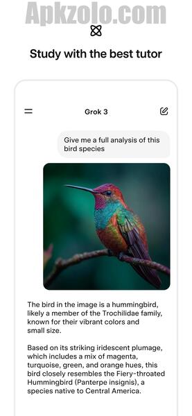 Grok 4 AI Mod APK